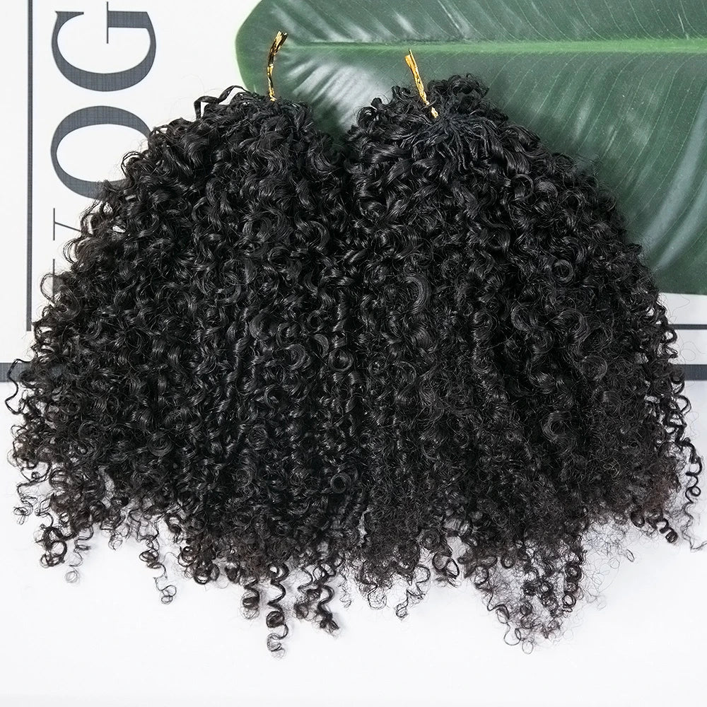 Knotless Crochet Hair Extensions Pre-Separated Human Hair Kinky Curly